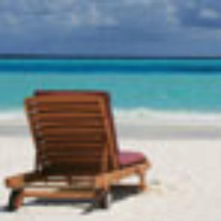 Little Caesars Carry Out Sterling Heights